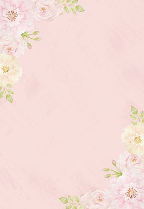 清新淡雅花卉信纸背景摄影图片